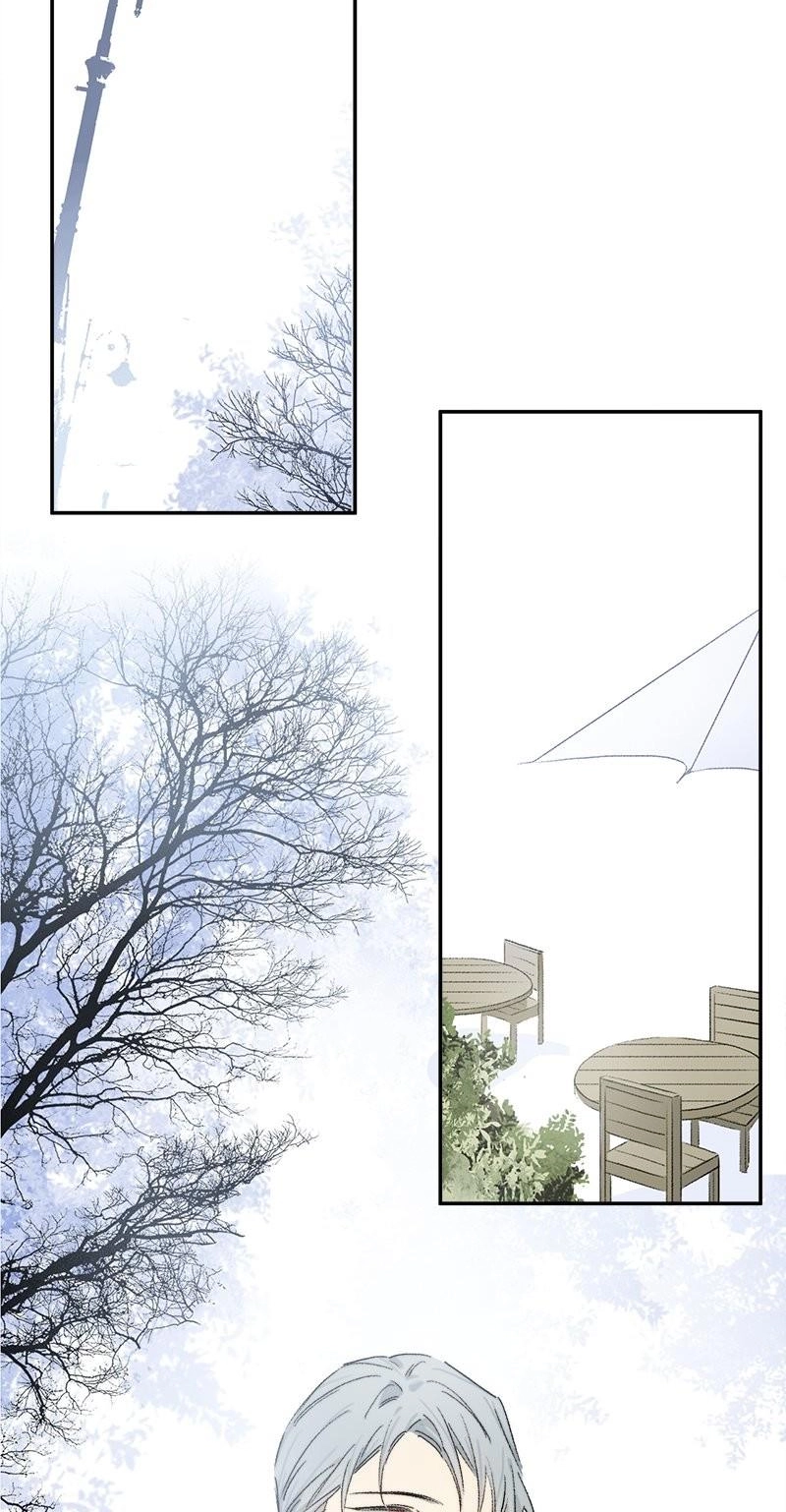Ogus's Law Chapter 138 page 4 - 