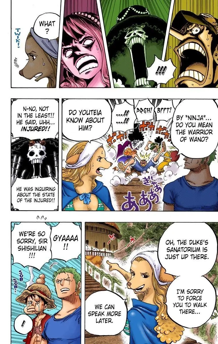 One Piece (Official Colored) Chapter 808 page 11 - 
