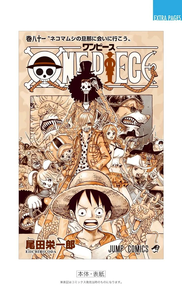 One Piece (Official Colored) Chapter 816 page 29 - 