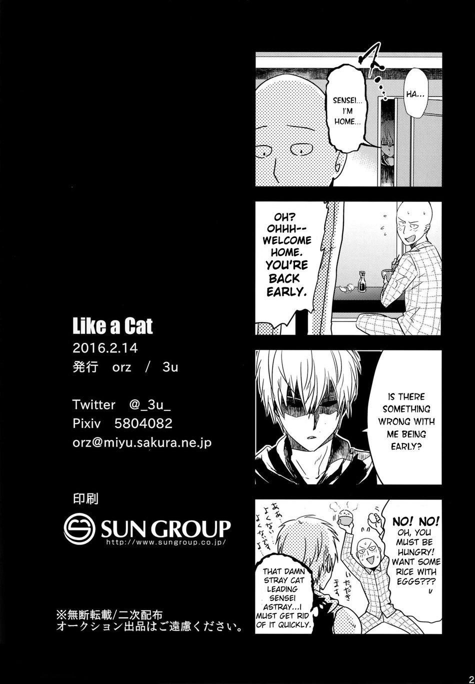 One Punch Man dj Chapter 1 page 27 - 