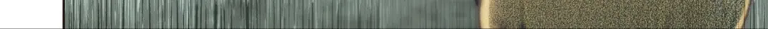 Online Chapter 128 page 21 - 