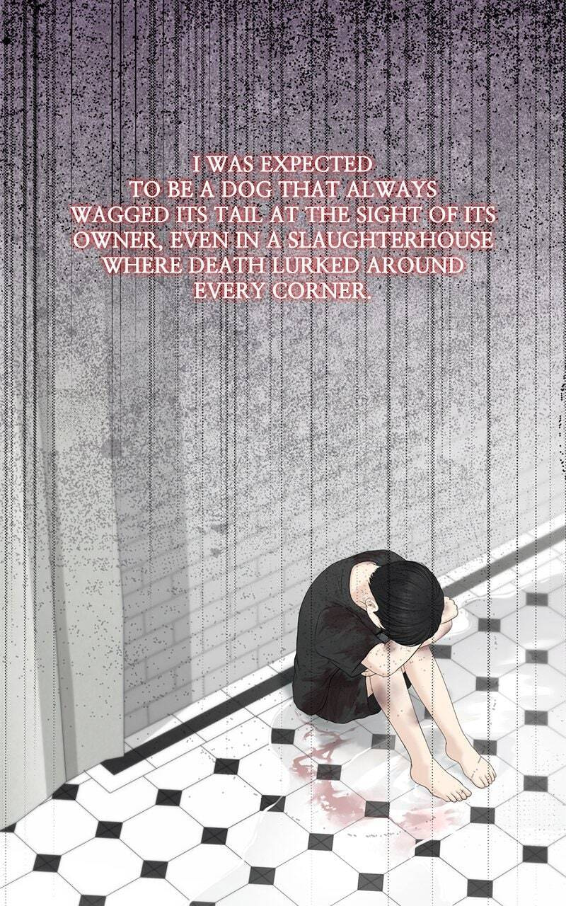 Only Hope Chapter 87 page 54 - 