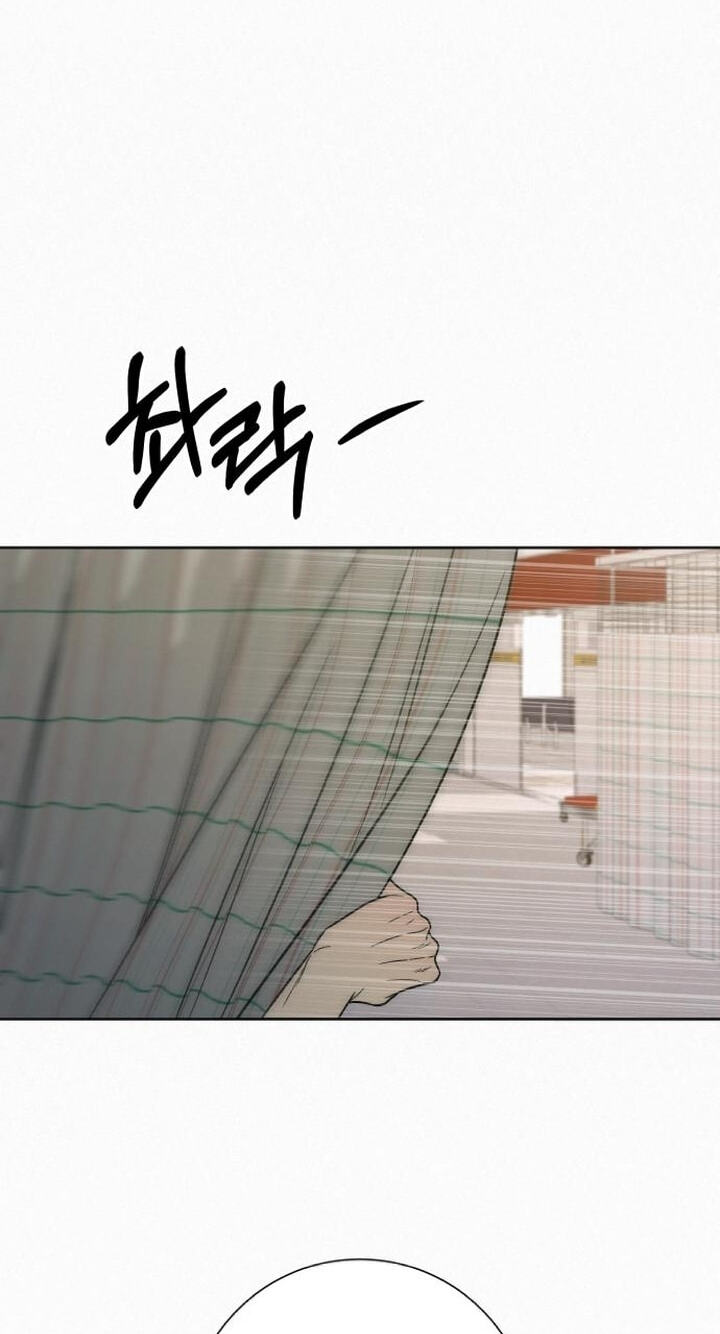 Operation: True Love Chapter 144 page 74 - 