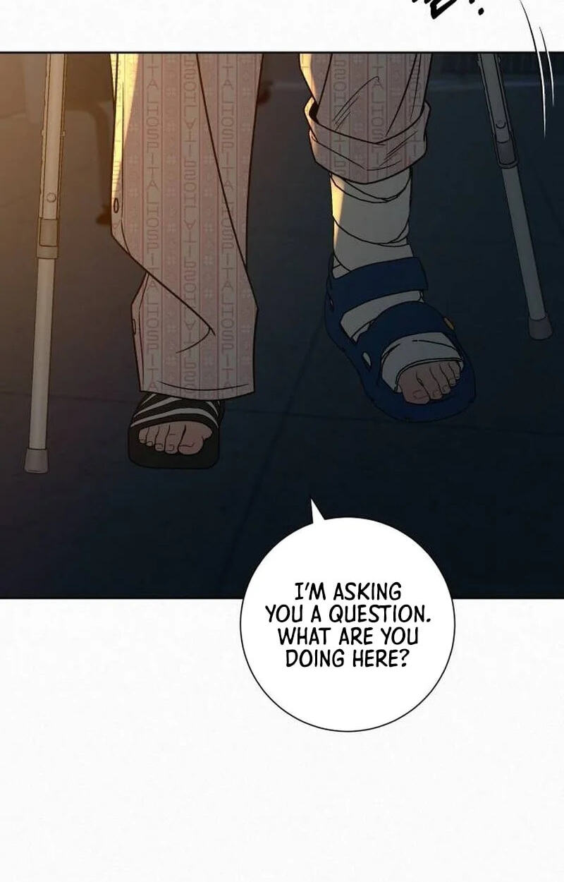 Operation: True Love Chapter 145 page 11 - 