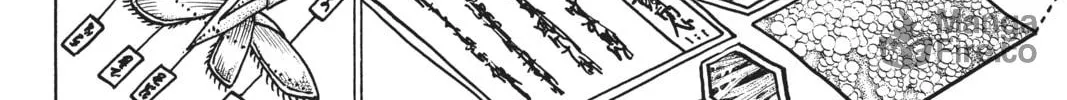 Orient Chapter 117 page 40 - 