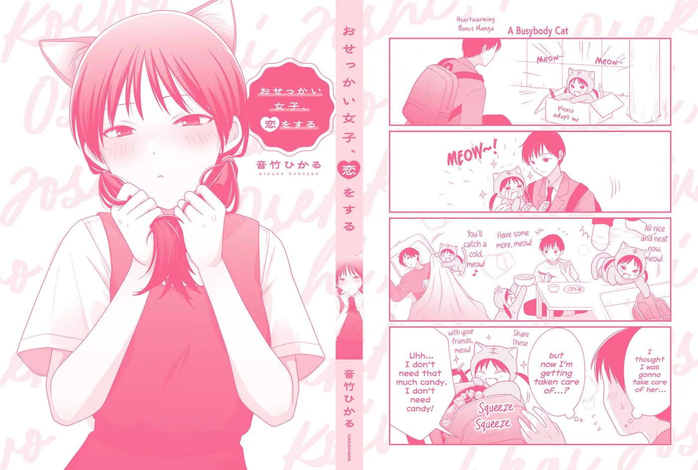 Osekkai Joshi, Koi wo Suru Chapter 29.5 page 12 - 