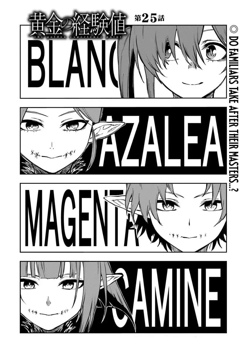 Ougon no Keikenchi Chapter 25.1 page 3 - 