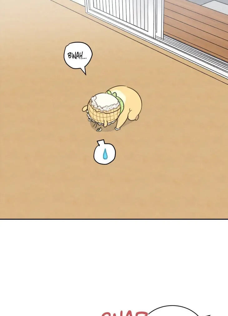 Our Sunny Days Chapter 85 page 36 - 
