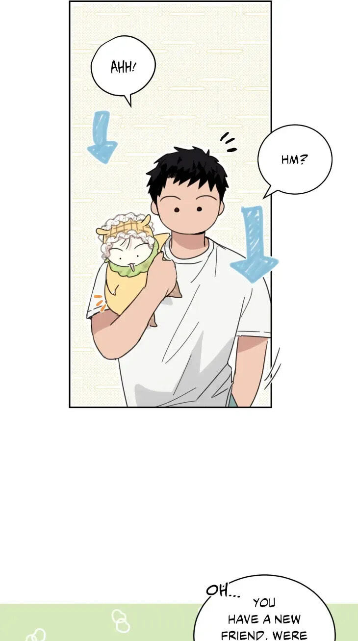 Our Sunny Days Chapter 85 page 41 - 