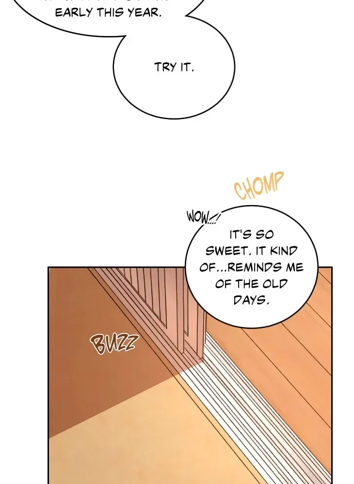 Our Sunny Days Chapter 86 page 50 - 