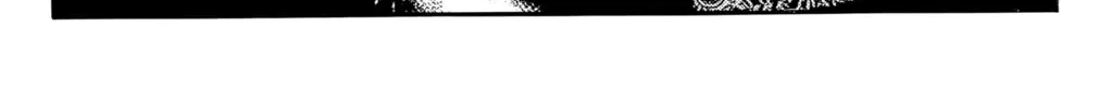 Outlanders Chapter 33 page 8 - 