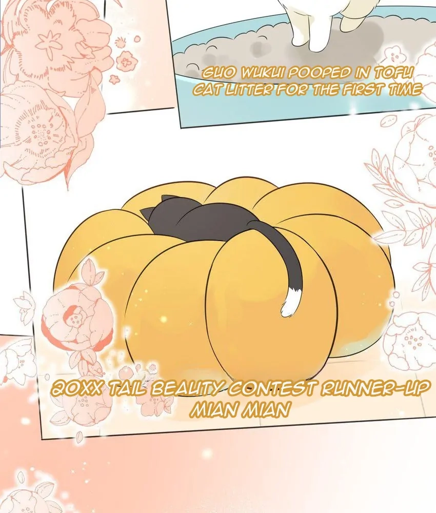 Overnourished Chapter 48 page 31 - 