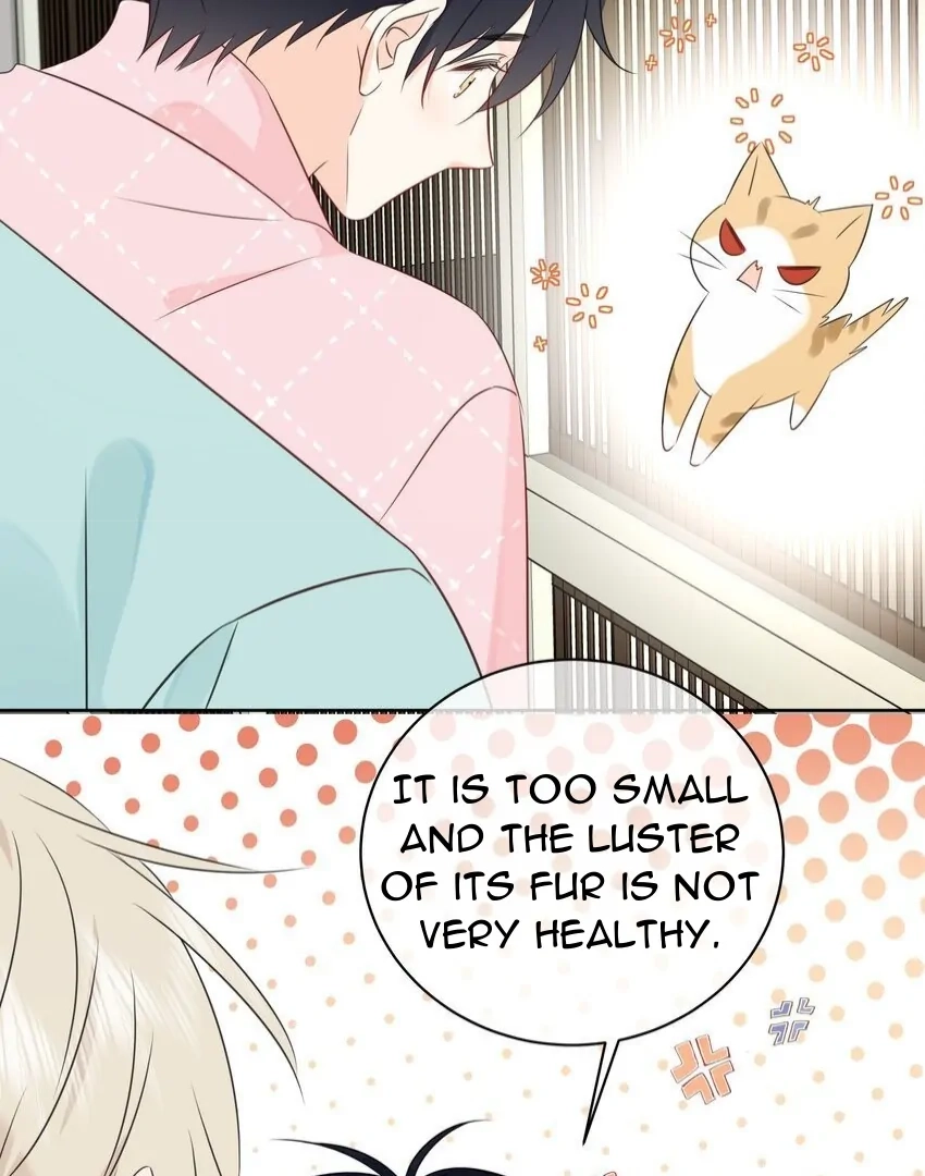 Overnourished Chapter 53 page 42 - 