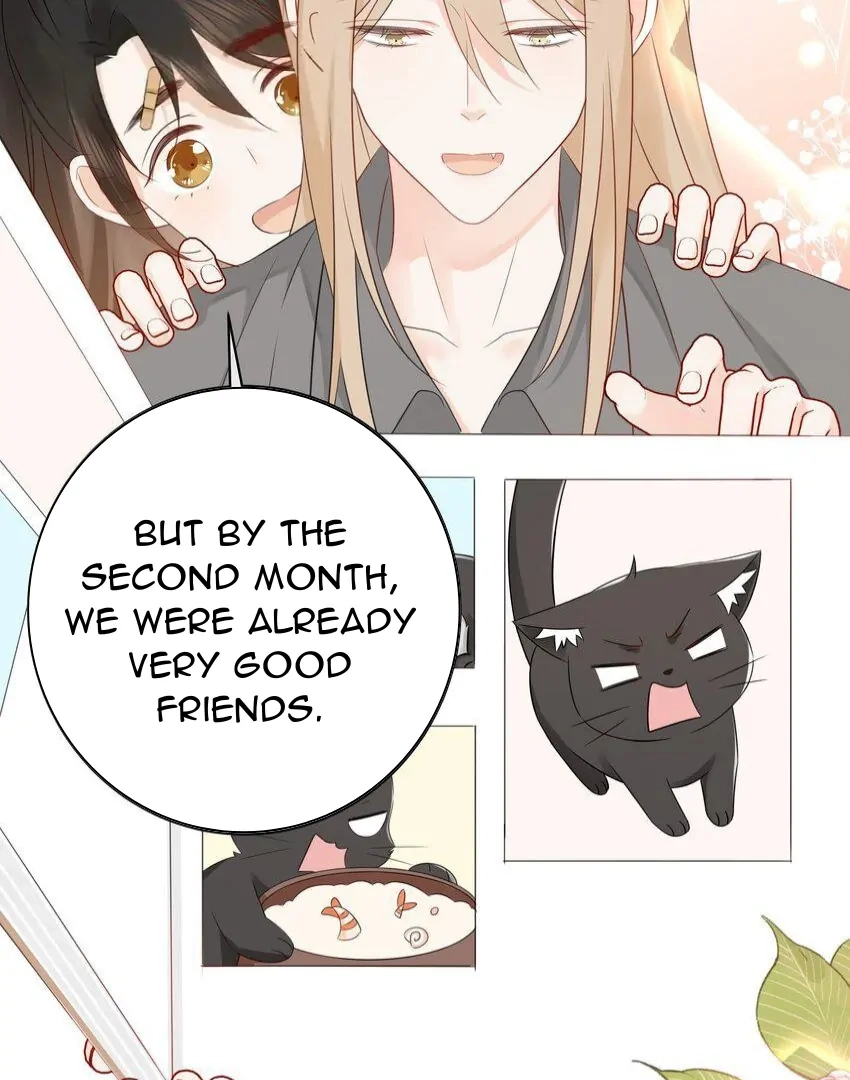Overnourished Chapter 56 page 37 - 