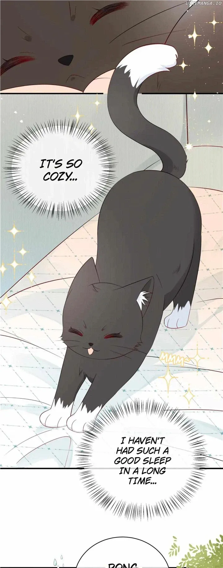 Overnourished Chapter 8 page 15 - 