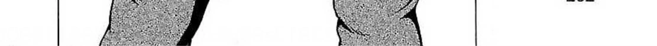Pansuto Chapter 78 page 55 - 
