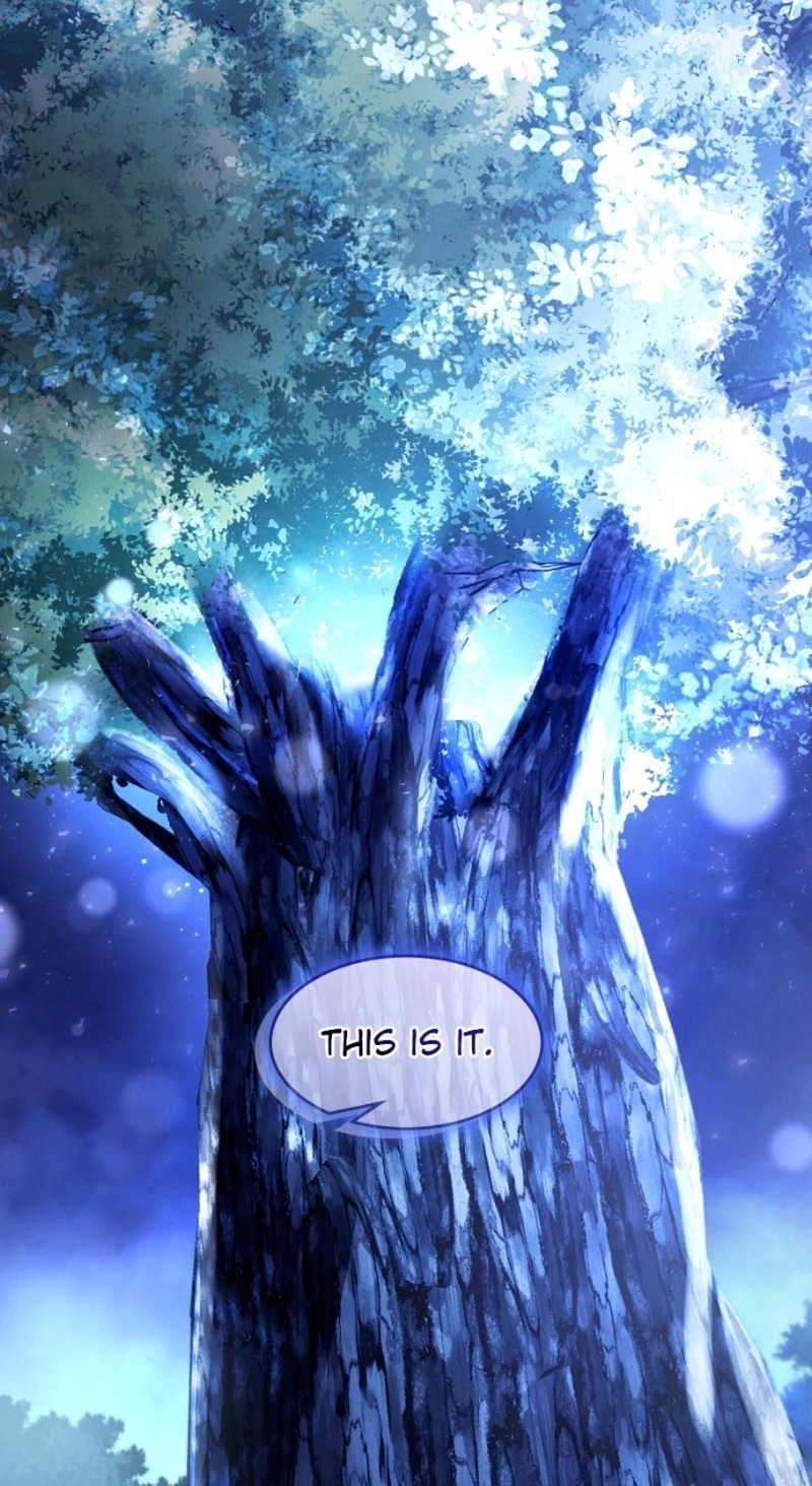 Paranoid Mage Chapter 125 page 45 - 