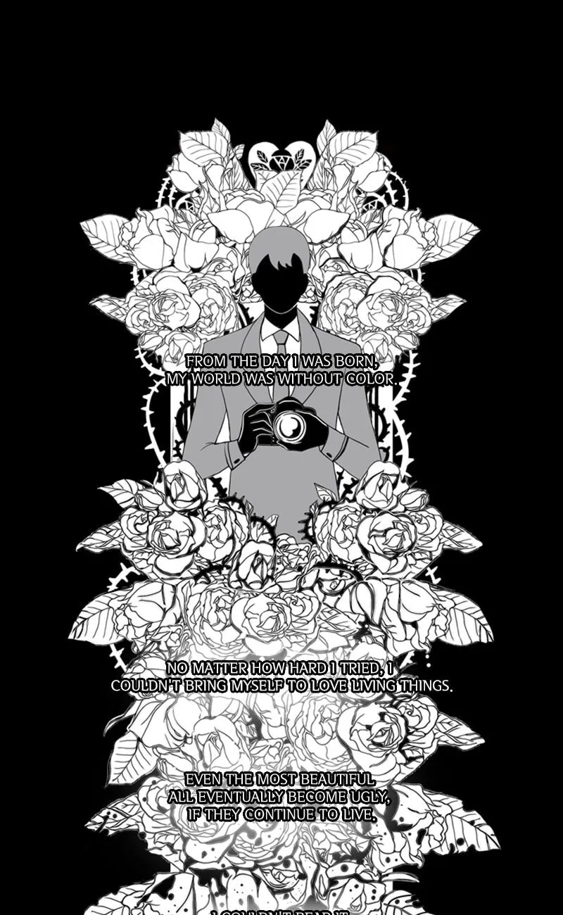 Passion (LEE Sun) Chapter 26 page 1 - 