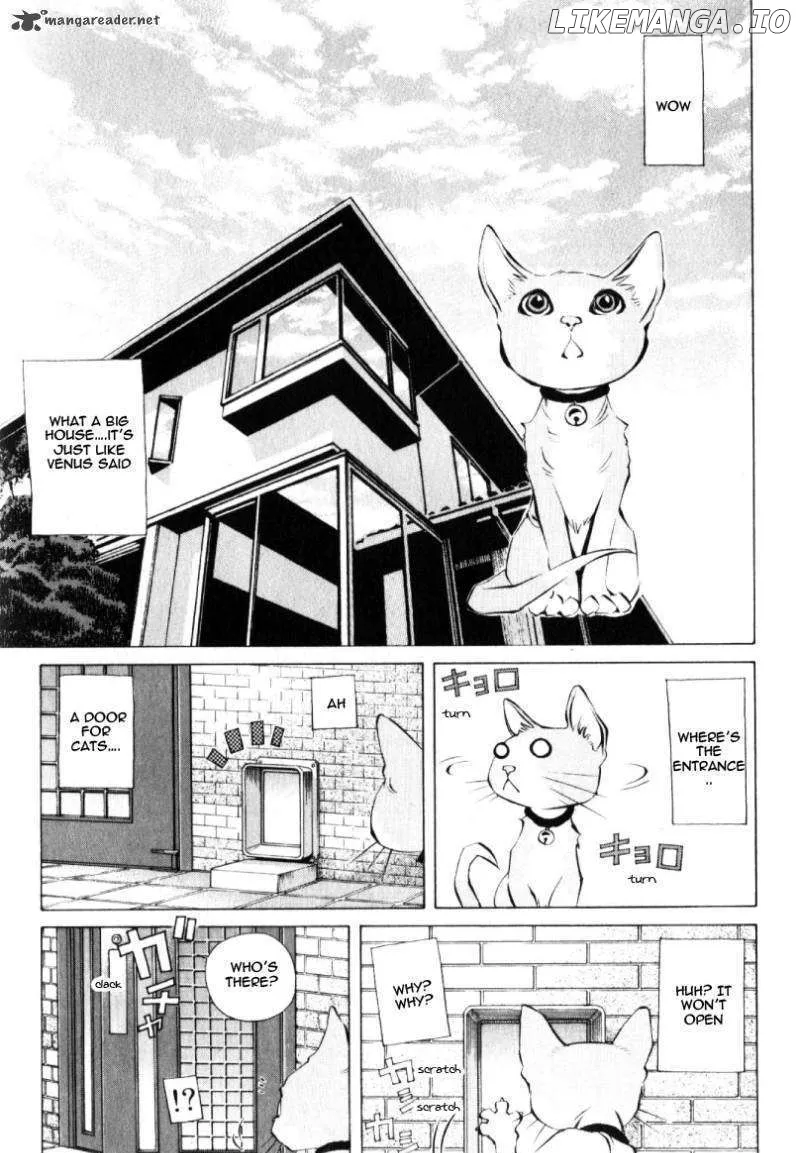 Pastel  Manga Chapter 125 page 25 - 