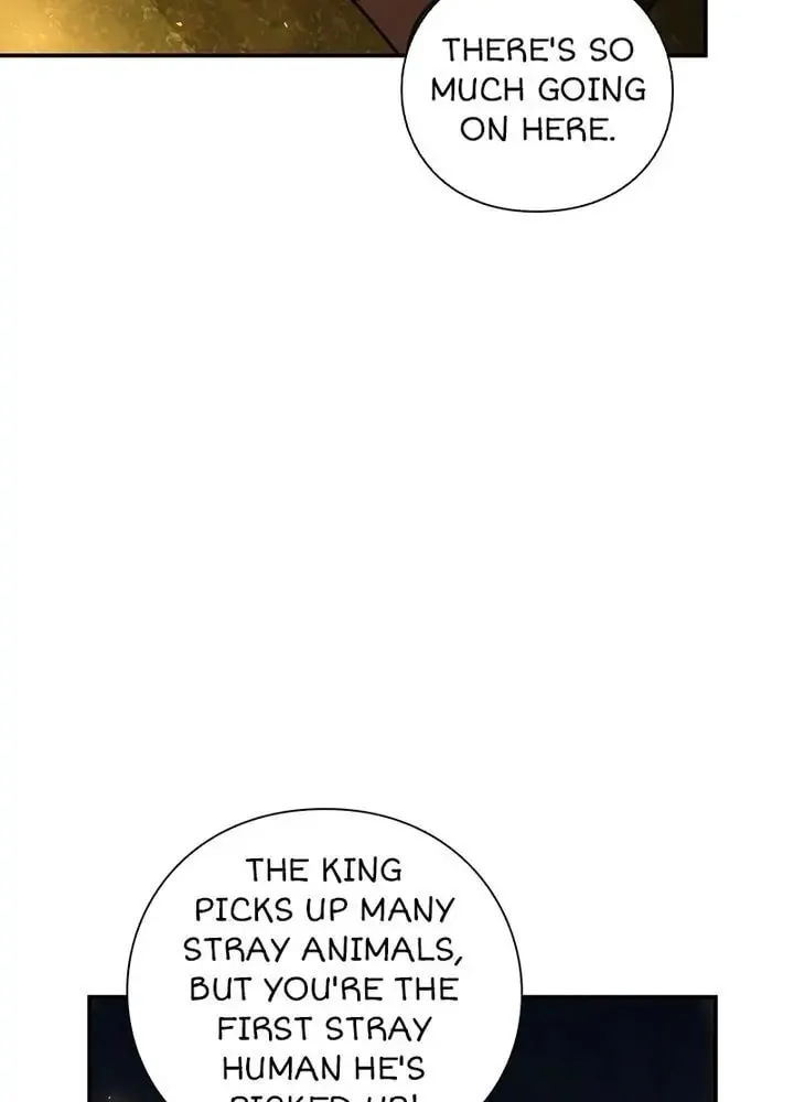PathFinder Chapter 44 page 50 - 