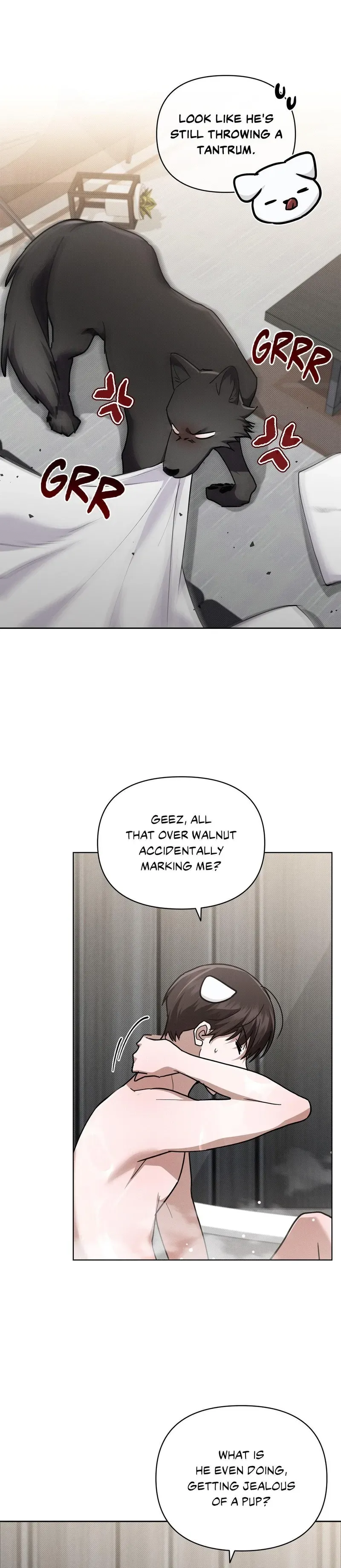 Paws & Claws Chapter 50 page 25 - 