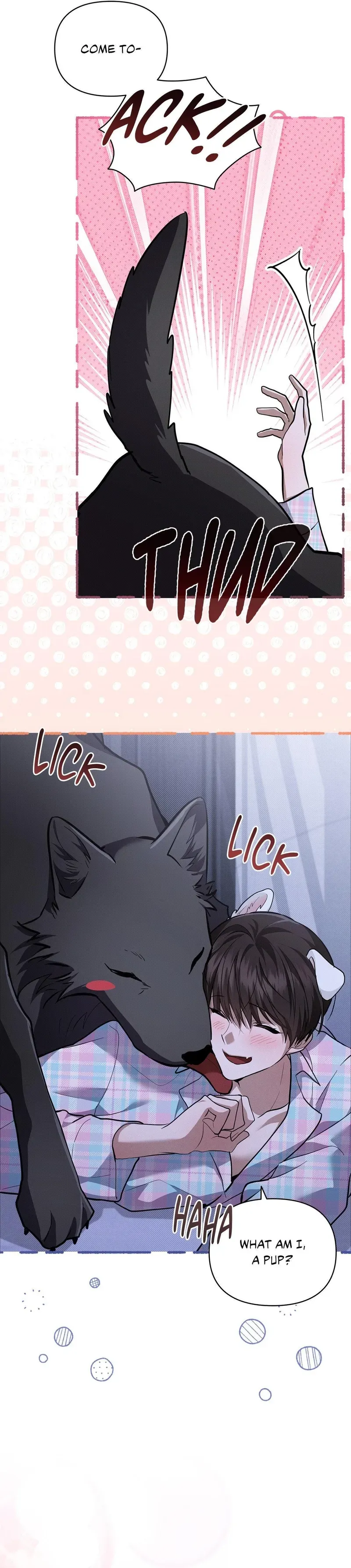 Paws & Claws Chapter 50 page 33 - 