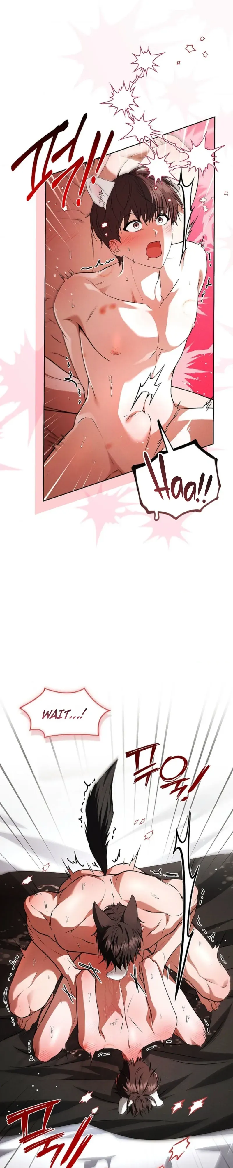 Paws & Claws Chapter 58 page 11 - 