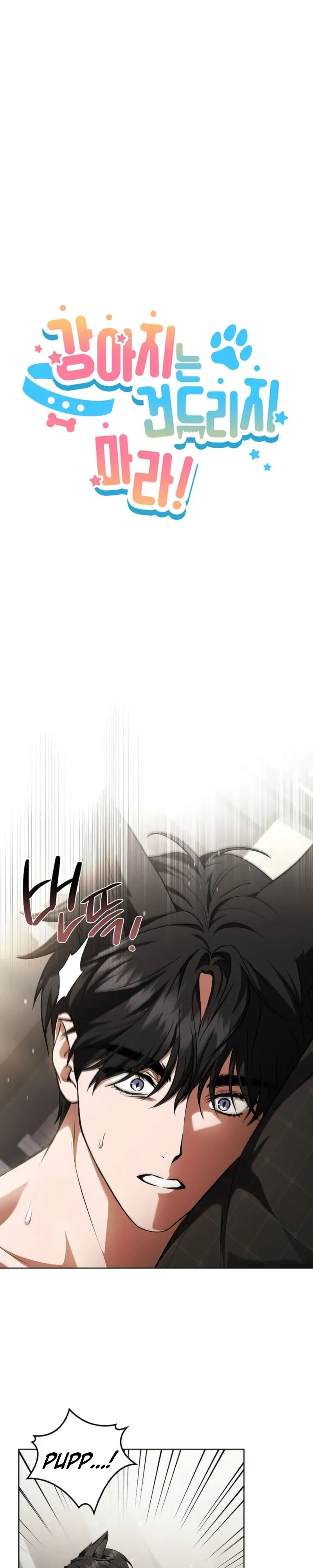 Paws & Claws Chapter 58 page 13 - 