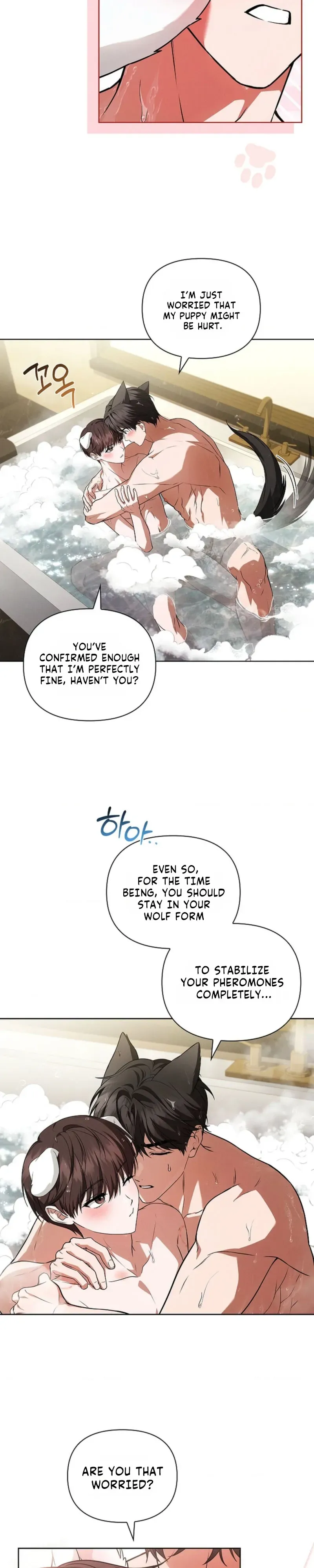Paws & Claws Chapter 58 page 26 - 