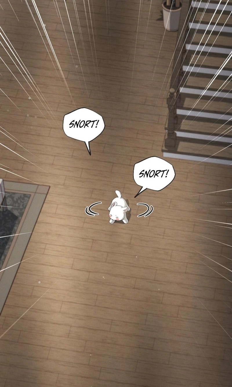 Paws & Claws Chapter 67 page 33 - 