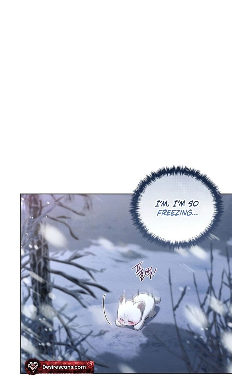 Paws & Claws Chapter 67 page 74 - 