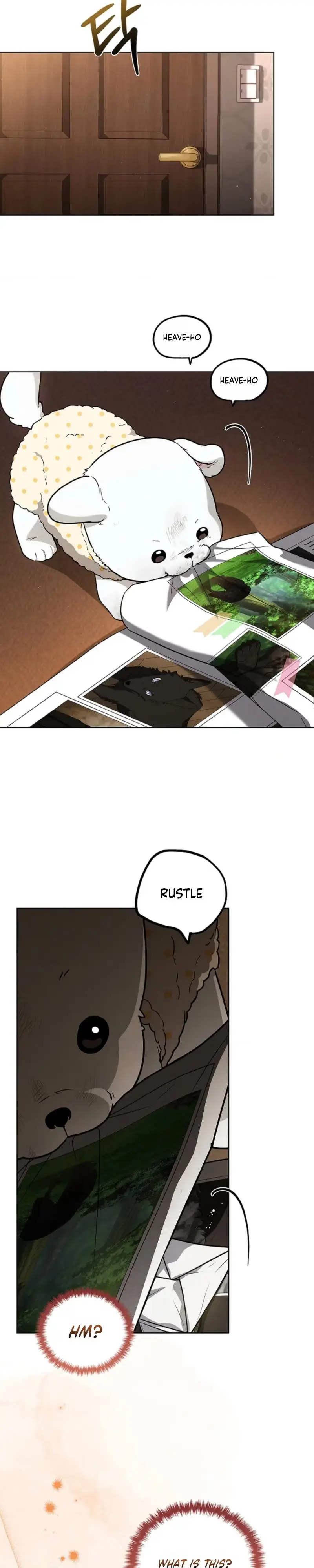Paws & Claws Chapter 69 page 20 - 