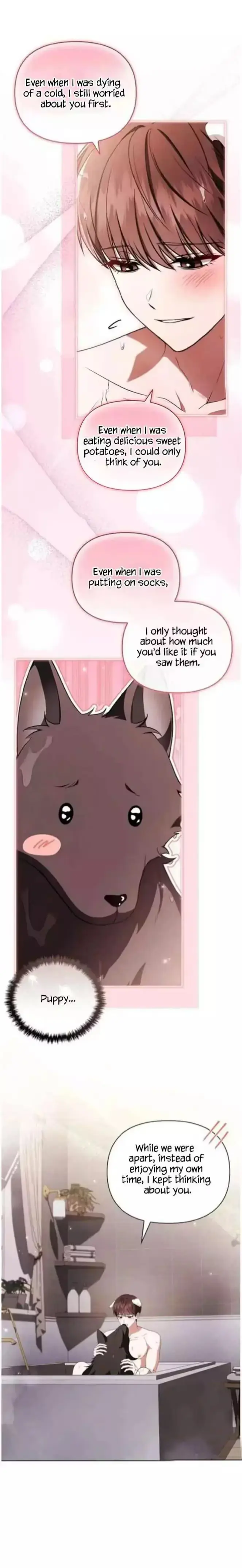 Paws & Claws Chapter 71 page 16 - 