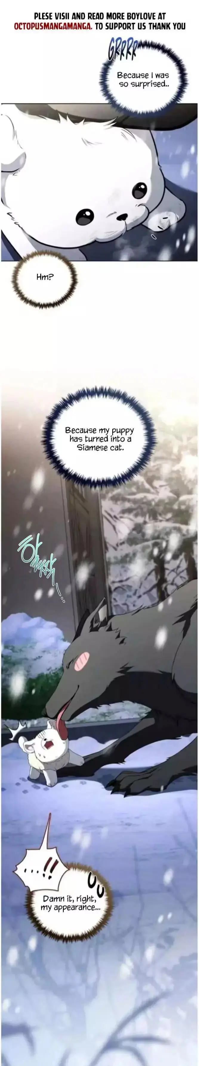 Paws & Claws Chapter 71 page 3 - 