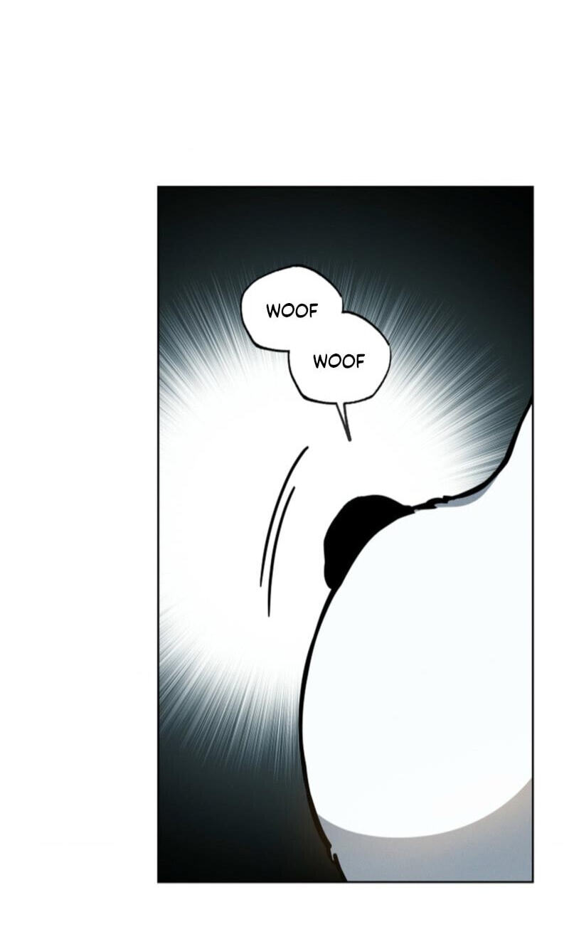 Paws & Claws Chapter 73 page 35 - 