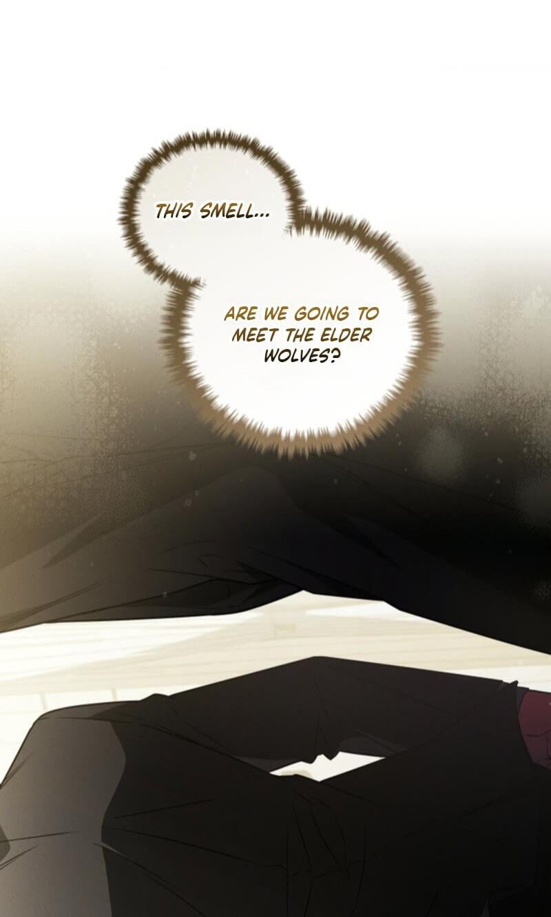 Paws & Claws Chapter 73 page 36 - 