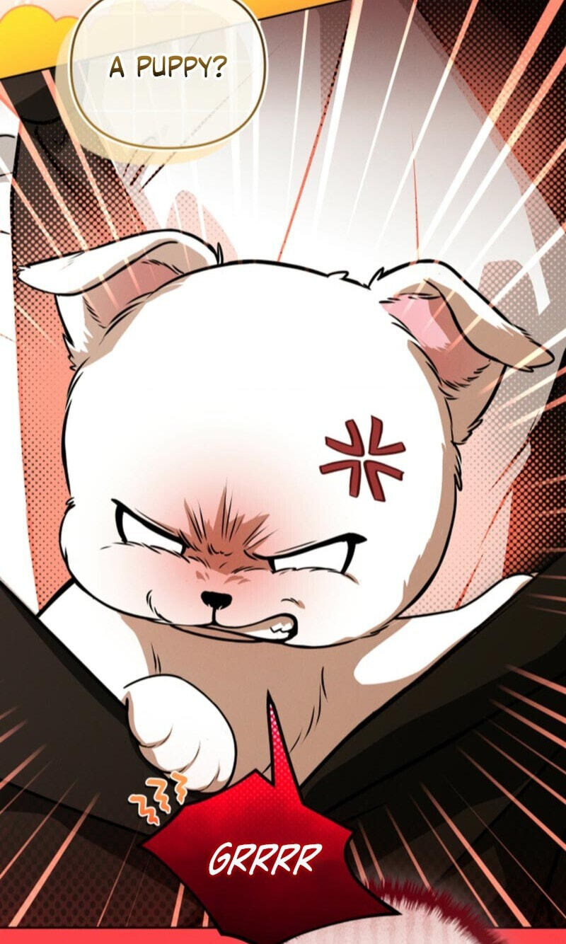 Paws & Claws Chapter 73 page 88 - 