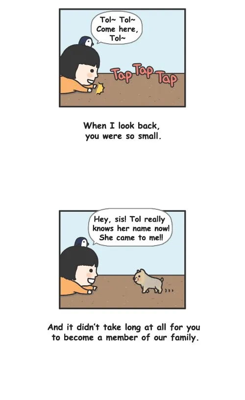 Penguin Loves Mev Chapter 102 page 5 - 