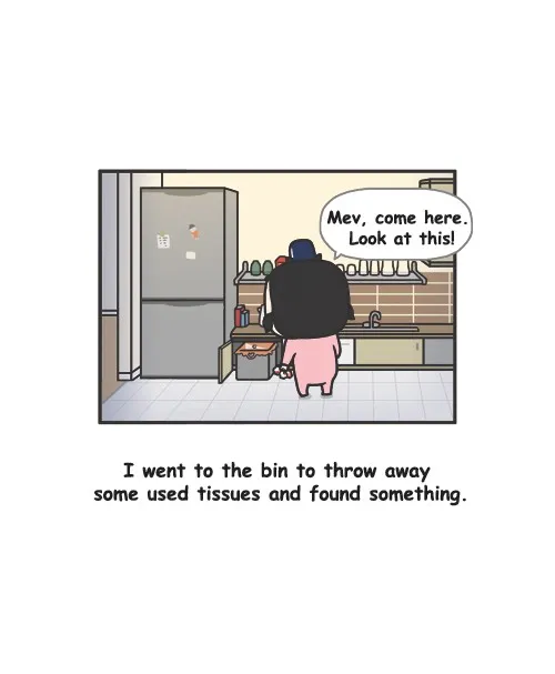 Penguin Loves Mev Chapter 151 page 8 - 