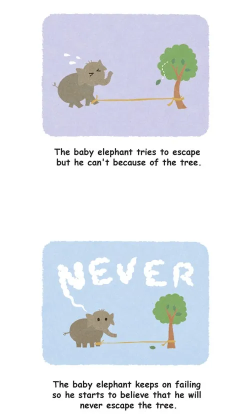 Penguin Loves Mev Chapter 22 page 8 - 