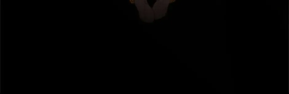 Perfect Gold Chapter 117 page 69 - 