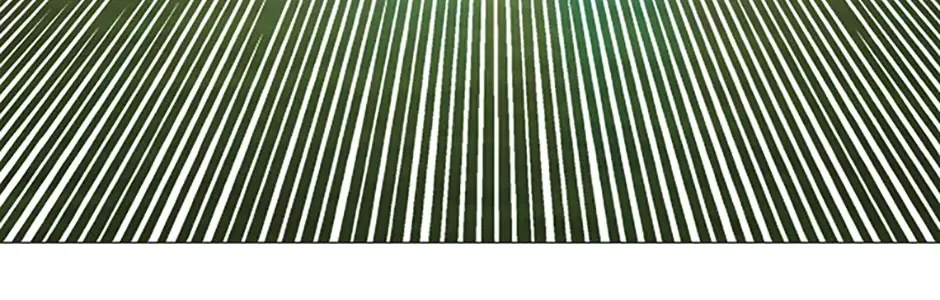 Perfect Gold Chapter 123 page 99 - 