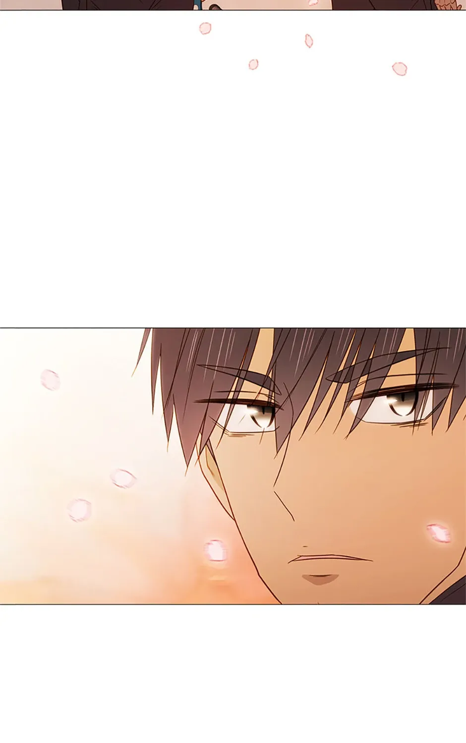 Perfect Gold Chapter 124 page 105 - 