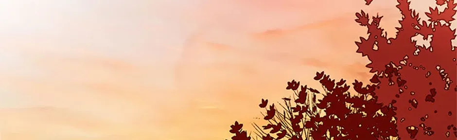Perfect Gold Chapter 124 page 68 - 