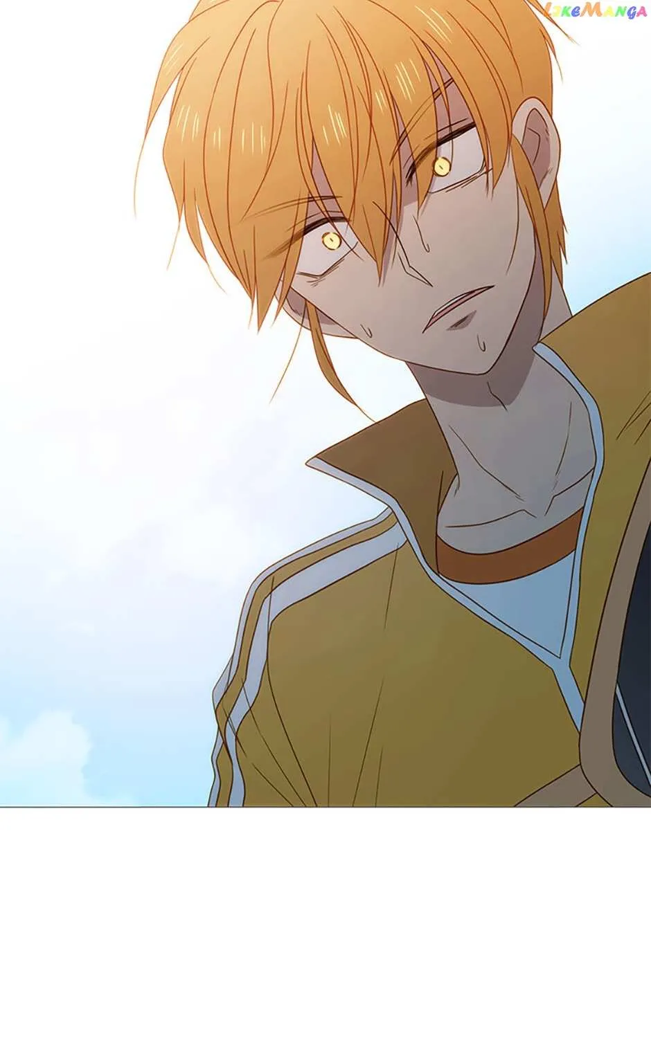 Perfect Gold Chapter 52 page 34 - 