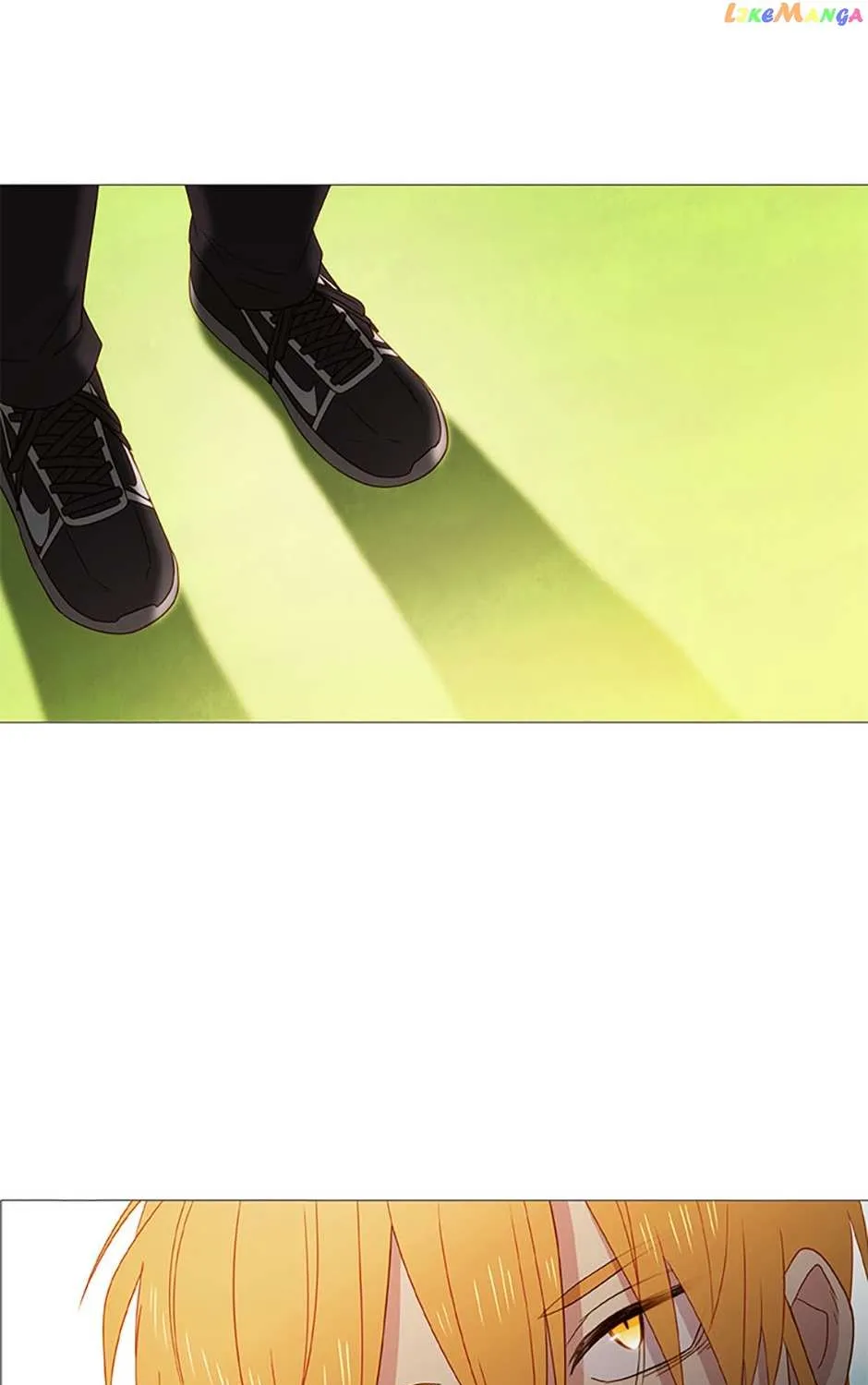 Perfect Gold Chapter 52 page 38 - 