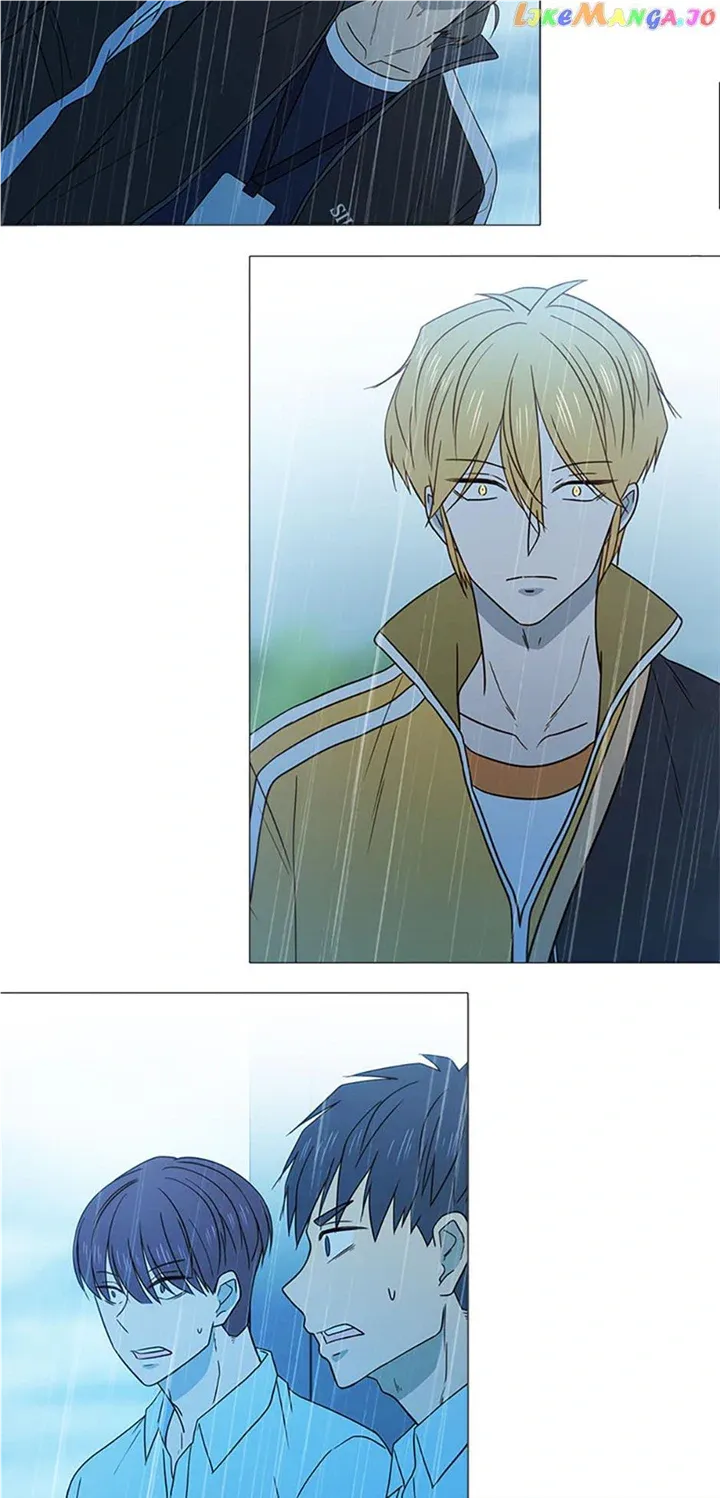 Perfect Gold Chapter 71 page 38 - 