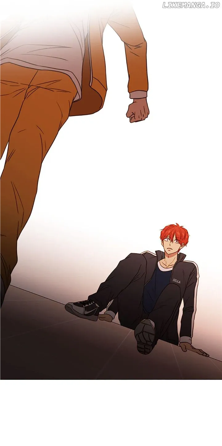Perfect Gold Chapter 75 page 15 - 