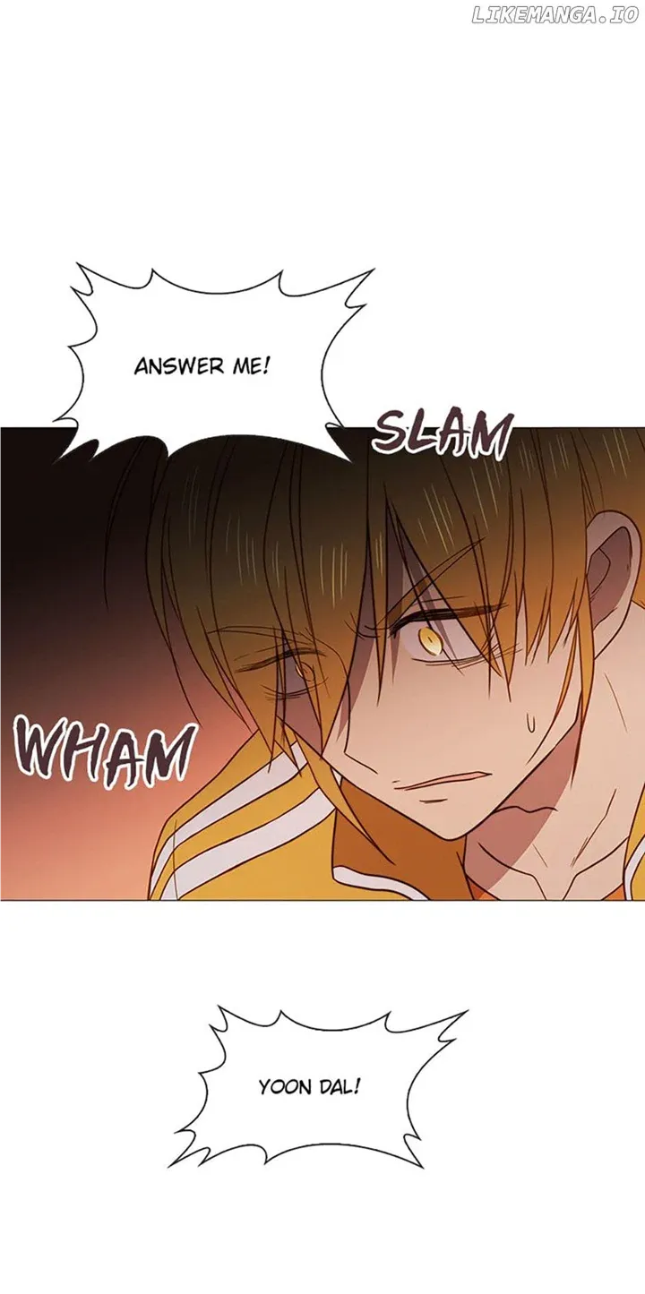 Perfect Gold Chapter 75 page 17 - 