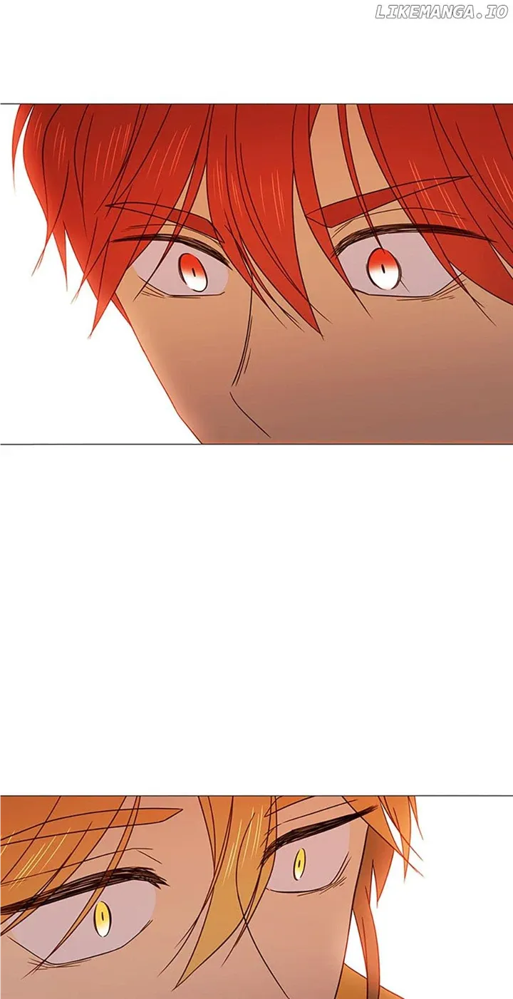 Perfect Gold Chapter 75 page 4 - 